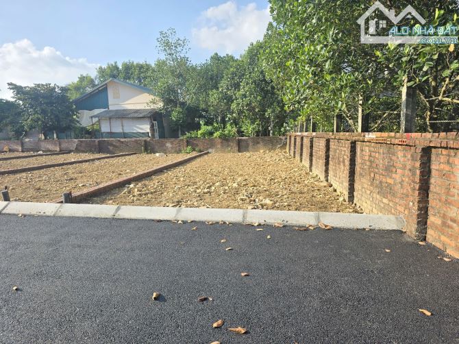 Bán đất 100m² Đồng Trạng – Cổ Đông