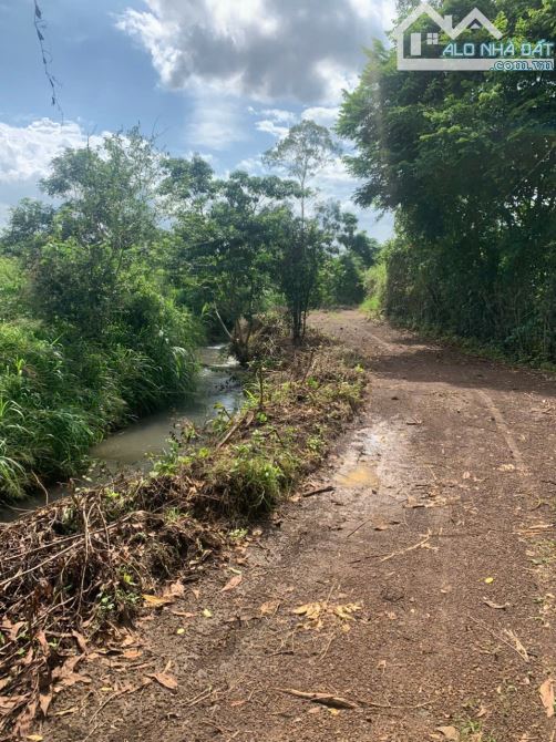 LÔ ĐẤT VIEW SUỐI CỰC ĐẸP, GẦN HỒ SÔNG RAY, PHỦ HỒNG, CÁCH TỈNH LỘ 328 CHỈ 2KM