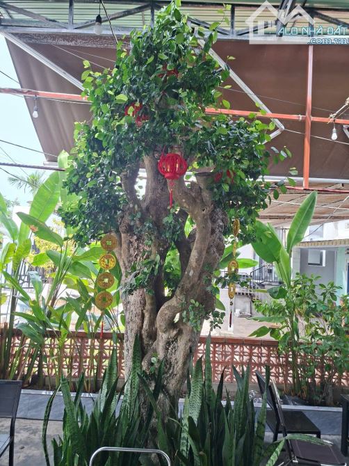 🔥Bán nhà có quán cafe MILANO đông khách nhất biển Tam Thanh Tam Kỳ, đường 27m truc chinh - 10