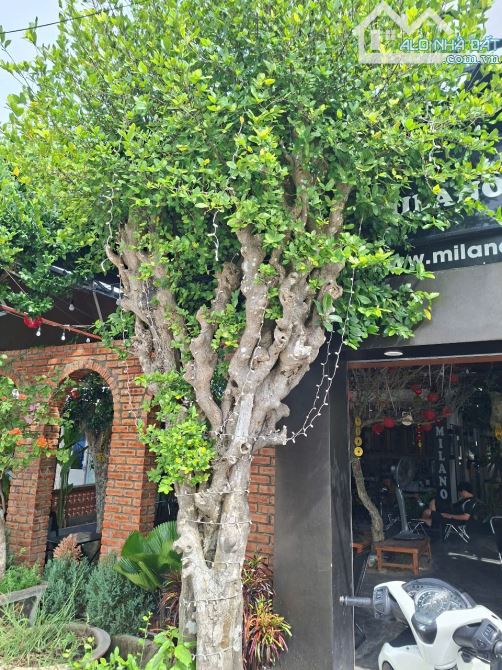 🔥Bán nhà có quán cafe MILANO đông khách nhất biển Tam Thanh Tam Kỳ, đường 27m truc chinh - 11