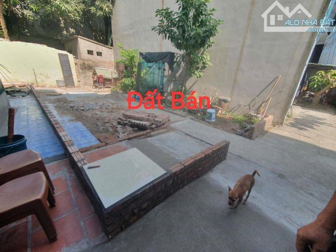 ✈️BÁN ĐẤT ĐƯỜNG PHÚC LỢI.HÀNG XÓM VINCOM LONG BIÊN ✈️62,5m2, Giá 5,5 tỷ. Ngõ rộng rãi, - 1