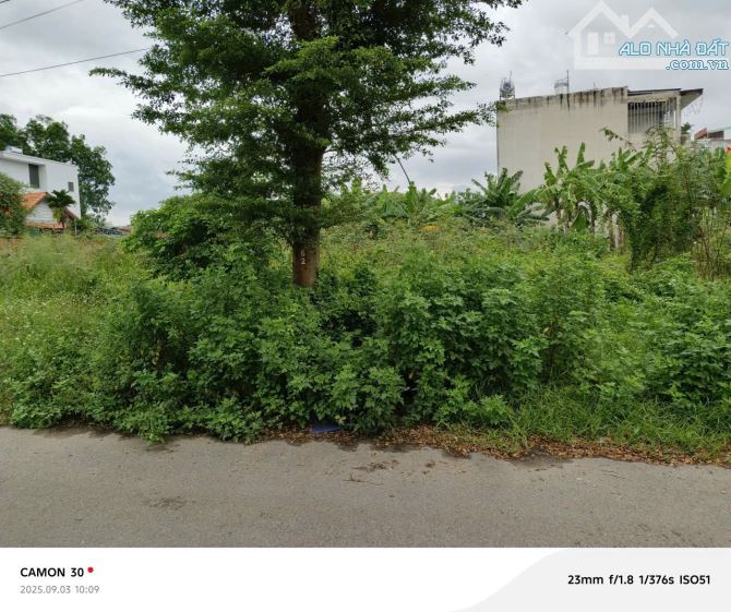 Bán đất biệt thự KDC Thời Báo kinh tế p Phú Hữu TP Thủ Đức - 1