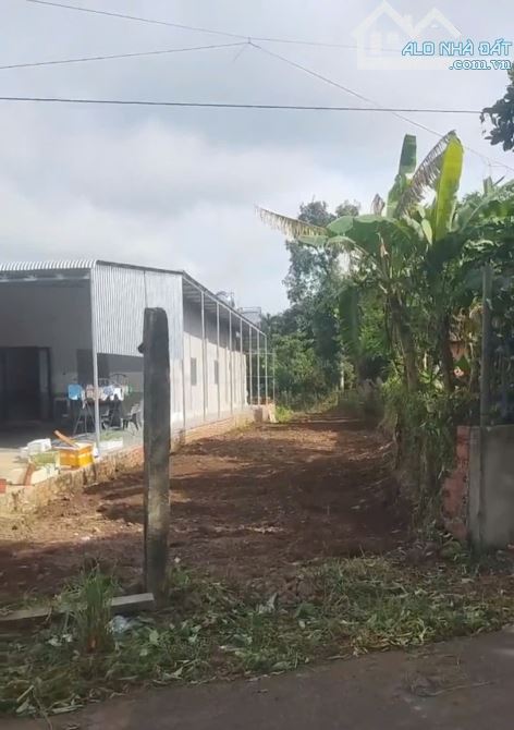 Bán lô đất nền Hàng 2, Làng 1 mặt tiền nhựa xã Bình Giã, tp Hồ Chí Minh - 1