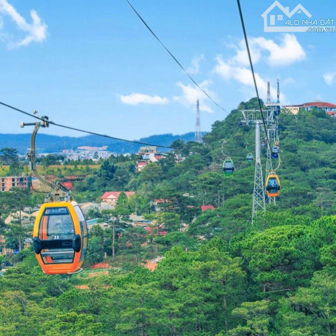 Đất hiếm  905m² chỉ 35 tỷ – trung tâm đường 3 Tháng 4, Đà Lạt – siêu view rừng thông  ! 🔥 - 1