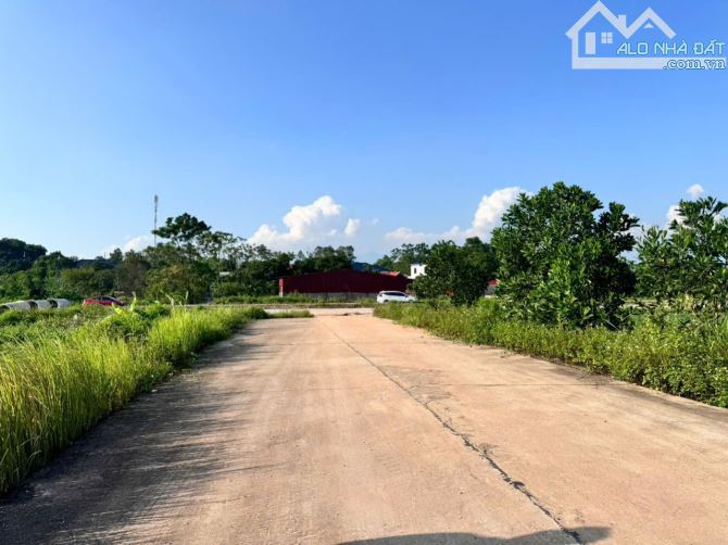 Bán đất đấu giá Đồng Tướng, Hướng Đạo, Tam Dương, Vĩnh Phúc - 1