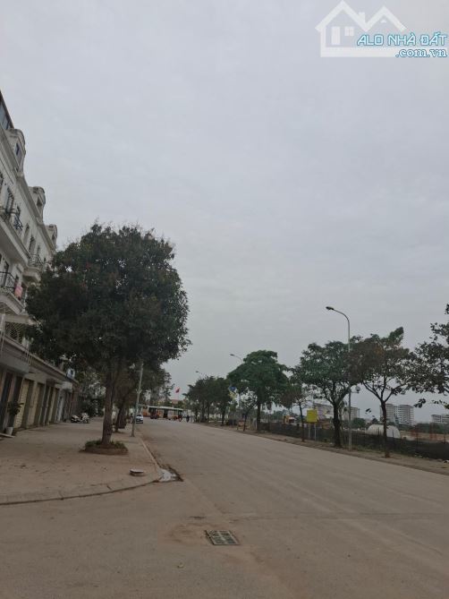 LÝ THÁNH TÔNG TRÂU QUỲ GIA LÂM HÀ NỘI - 1