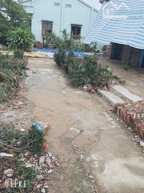 4,5×22 thổ 245 triệu quê mỹ thạnh_Tân trụ_Long An giá rẻ nhất khu vực - 1