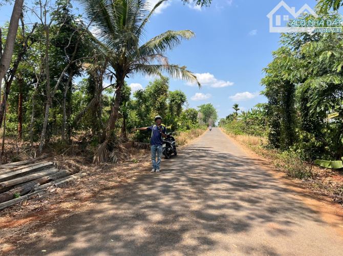 LÔ THỔ CƯ 13x75m HẺM PHAN HUY CHÚ - BMT - ĐAKLAK 1.9Tỷ - 1
