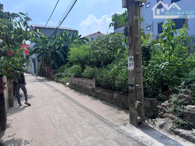 Cần bán đất 45m² thôn Mai Hiên, Đông Anh, đường ô tô ngõ thông, giá 5.x tỷ. - 1