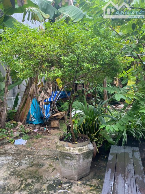 1200m2 đất có dãy trọ, sẵn 900m2 đất thổ cư cạnh Sadeco Phước Kiển - 1