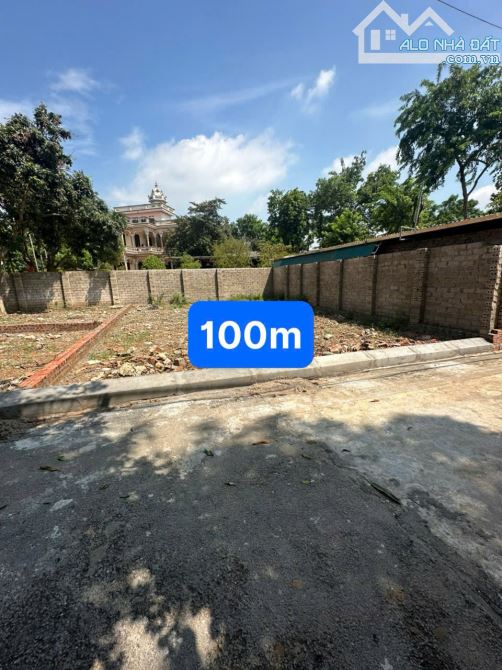Chính chủ bán đất đầu tư mặt đường trục chính xã Đoài Phương - 1