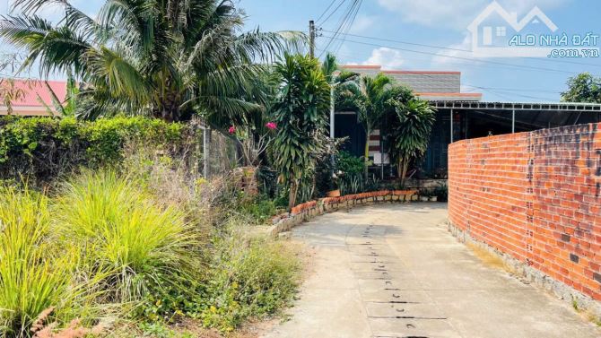 🔥 CHỦ BÁN GẤP LÔ ĐẤT TRUNG TÂM DÂN CƯ AN NHỨT – ĐẤT ĐỎ  • 📐 Diện tích: 102m² (6 x 17m) - 1