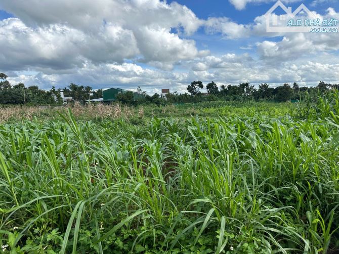 Tân An - Eatu QL26 km12     còn sót 1 lô 695Triệu giá bao khu vực - 1