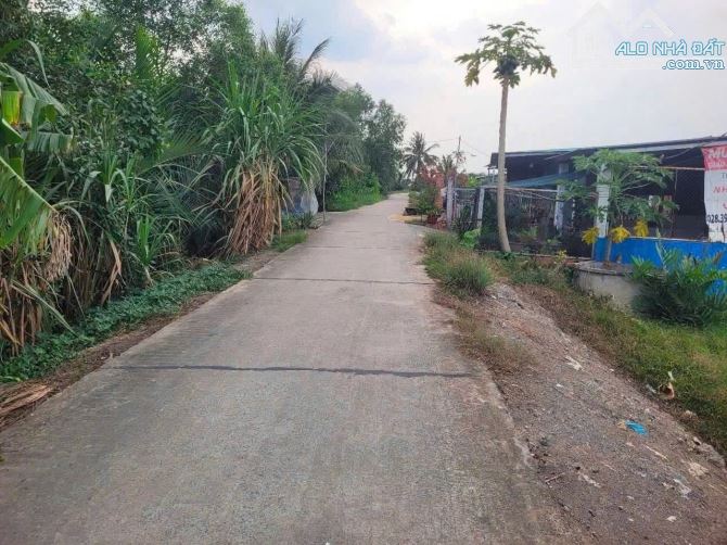 HÍNH CHỦ BÁN ĐẤT THỔ CỨ 1,2T ẤP 7 TÂN BỬU - 1