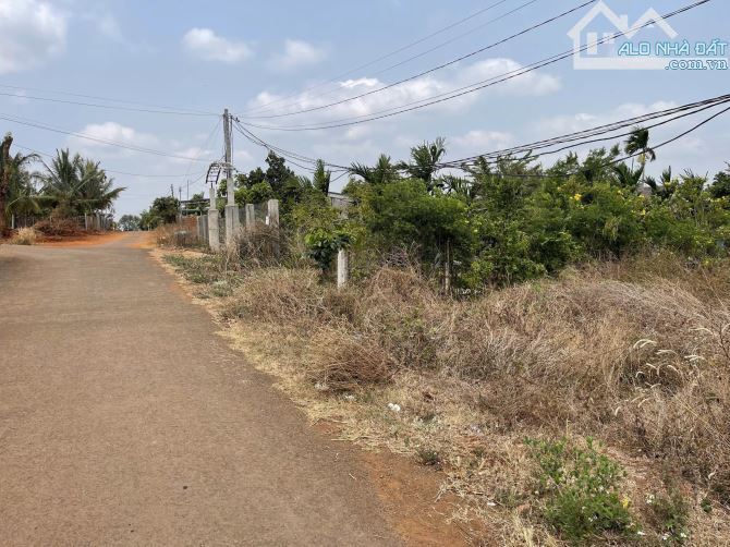 🏡 BÁN ĐẤT MẶT TIỀN ĐƯỜNG NHỰA THÔN 8 XÃ CƯ BUA PHƯỜNG BUÔN MA THUỘT ĐẮK LẮK - 1