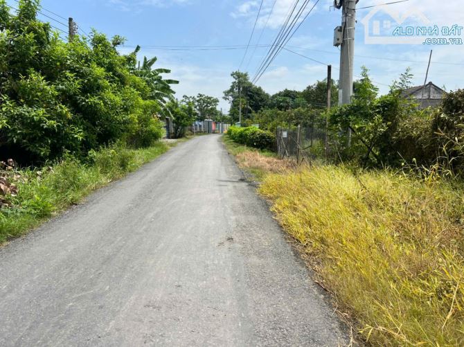 590tr B.á.n (8x26) đất nền, mặt tiền nhựa gần Chợ Giồng Tân, Gò Công Đông, TG cũ - 1