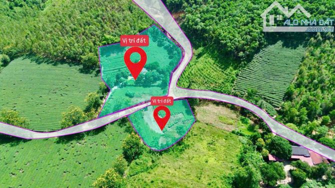 LÔ ĐẤT  6.126m² Trong đó 400m² thổ cư SẴN NHÀ Ở VIEW ĐỒI CHÈ CỰC CHILL - GIA CHỈ 2.X TỈ - 1