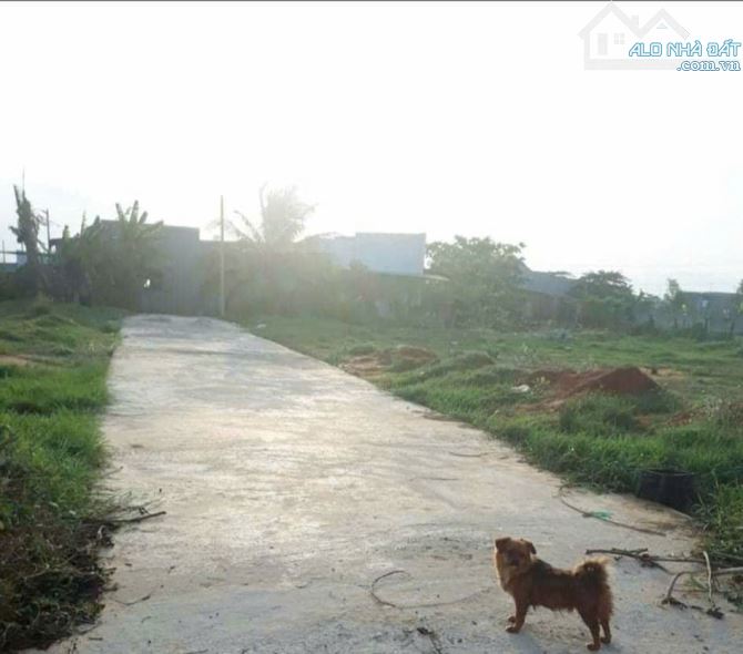 ĐẤT HÀM THUẬN PHAN THIẾT giá rất rẻ - 1