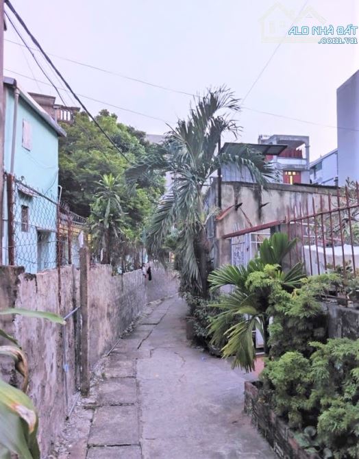 Bán đất Lĩnh Nam 120M2-Mt10m-16,1 Tỷ-Chia 2 lô-xây CCMN-Oto cách 10m - 1