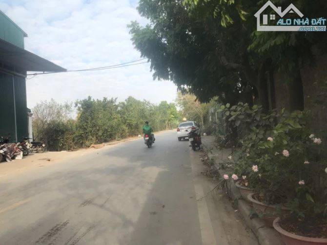 🏢 CHO THUÊ KHO XƯỞNG TẠI - NINH SỞ - THƯỜNG TÍN - 1