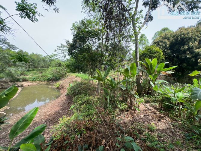 BÁN ĐẤT SIÊU TIỀM NĂNG PHÚC TRÌU, CAO THOÁNG, CÓ NHÀ CẤP 4 VÀ AO CÁ TRƯỚC NHÀ - 1