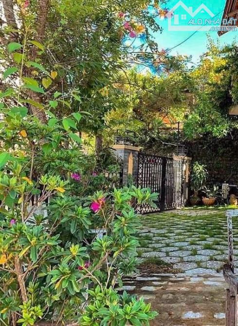 Bán biệt thự sân vườn Đà Lạt có view Thông thích hợp an cư nghỉ dưỡng - 1