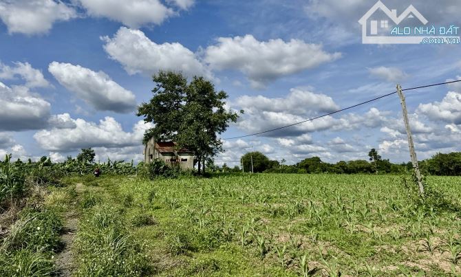 💥 BÁN GẤP 6,5 SÀO VIEW SUỐI CÁCH TP 12 KM 💥 - 1