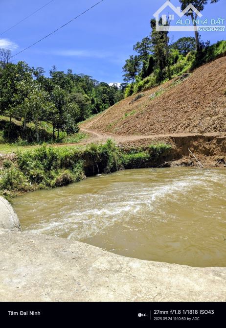 Bán nhanh 2.5ha đất bám suối xã Tà Năng,Lâm Đồng giá rẻ chỉ 100 triệu/sào thương lượng - 1