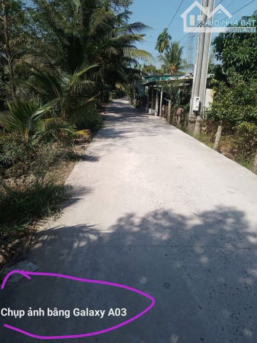 Bán 5.389m² đất X. Nhơn Ái, H. Phong Điền, TP. Cần Thơ, có sẵn 130 gốc sầu riêng 4 năm tuổ - 1