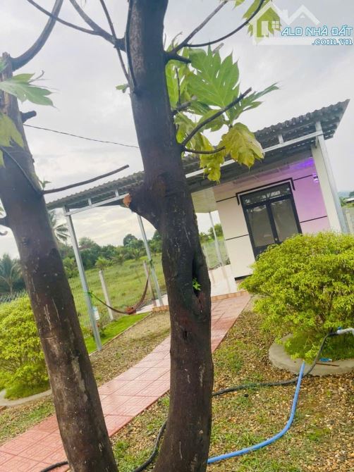 Nhà vườn Đẹp giá Rẻ - Diên Đồng - Diên Khánh - Khánh Hòa - 1