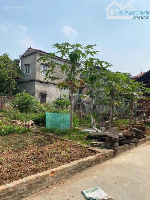 Cần bán 41.6m2 trung tâm chợ Tam Hưng - 1
