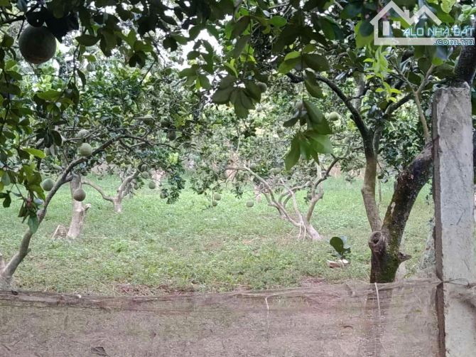 BÁN NHÀ ĐẤT YÊN THẾ BẮC GIANG. NGAY CẠNH BỜ SÔNG THƯƠNG THƠ MỘNG. - 1