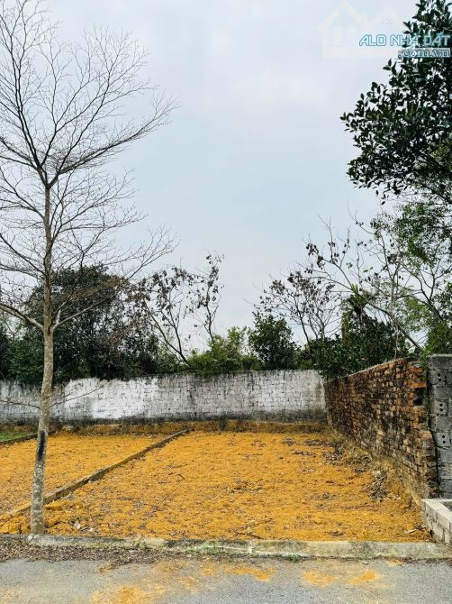 Bán nhanh lô đất 61,9m² – Vị trí Cánh Chủ, siêu tiềm năng - 1