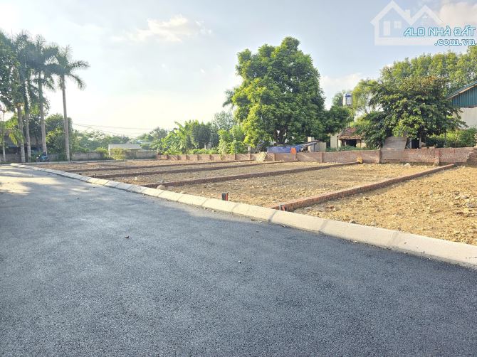 Bán đất 100m² Đồng Trạng – Cổ Đông - 1