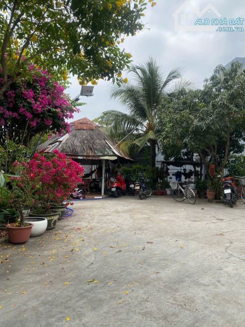 🏡 BÁN BIỆT THỰ SÂN VƯỜN - CHỦ NGỘP BANK - CHỈ 50tr/m2 - HẺM OTO QUAY ĐẦU - NGUYỄN THỊ THẬ - 1