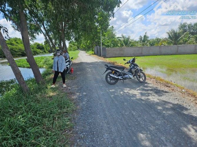 4200m2 lúa Mặt tiền đường xe tải kênh Trị Yên  KT: 55x80m - 1