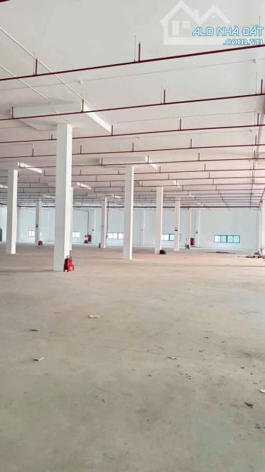 Cho thuê kho xưởng tại KCN Bình Xuyên, Vĩnh Phúc. DT 5300m2, 10.000m2 - 1