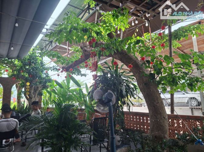 🔥Bán nhà có quán cafe MILANO đông khách nhất biển Tam Thanh Tam Kỳ, đường 27m truc chinh - 13