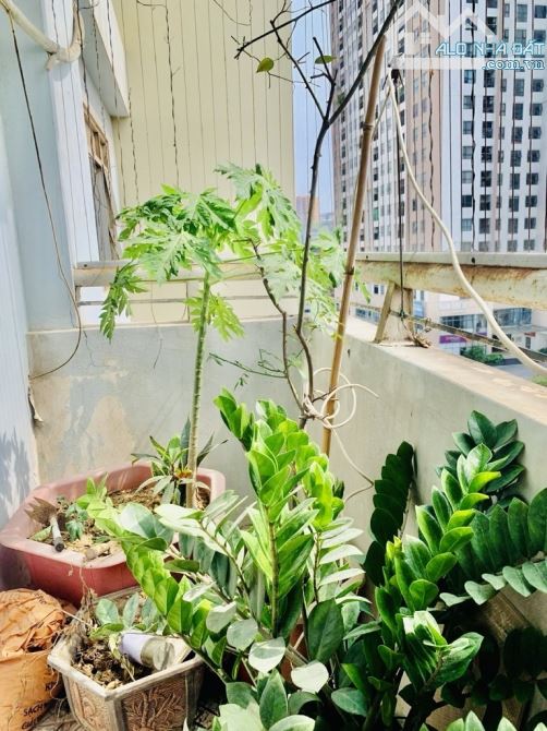 Cc 123 m2/ tầng 6/ 6.98 tỷ KĐt Đại Kim - 14