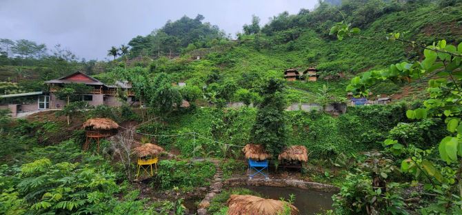 LÔ ĐẤT VÀNG HOMESTAY 3HA TẠI TÂN LẠC HB  KHOẢNG 16,5 TỶ - 2