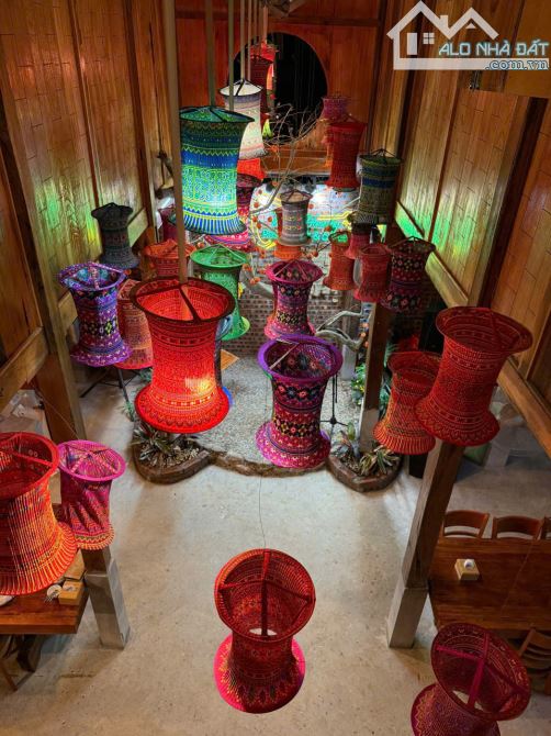 LÔ ĐẤT VÀNG HOMESTAY 3HA TẠI TÂN LẠC HB  KHOẢNG 16,5 TỶ - 4