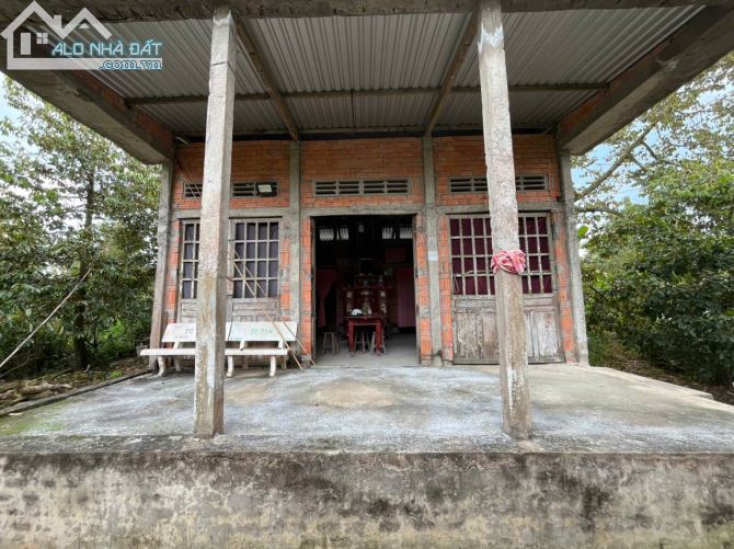 CHÍNH CHỦ CẦN BÁN ĐẤT + NHÀ VƯỜN TRÁI CÂY – ẤP 3, LONG TRUNG - GIÁ: 1,5TỶ - 1