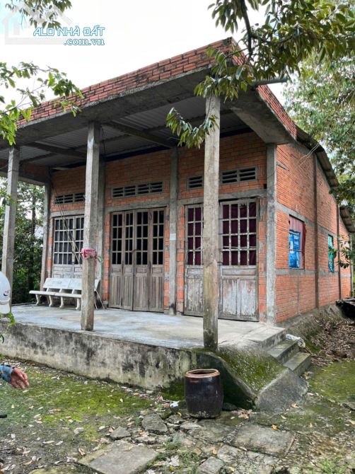 CHÍNH CHỦ CẦN BÁN ĐẤT + NHÀ VƯỜN TRÁI CÂY – ẤP 3, LONG TRUNG - GIÁ: 1,5TỶ - 2