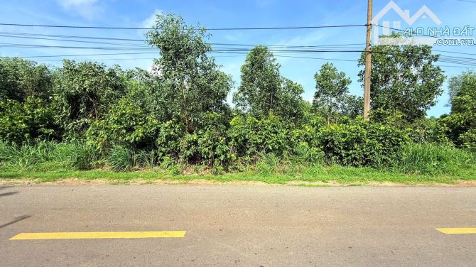 Đất Làm Nhà Vườn Gần Biển Mặt tiền đường Nguyễn Huệ- Đất Đỏ- BRVT ( xã Phước Hải- TPHCM) - 2