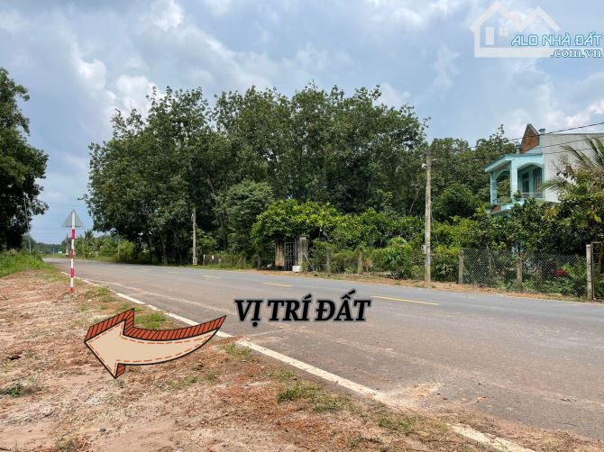 Cơ hội vàng đầu tư đất mặt tiền kinh doanh Chơn Thành - 2
