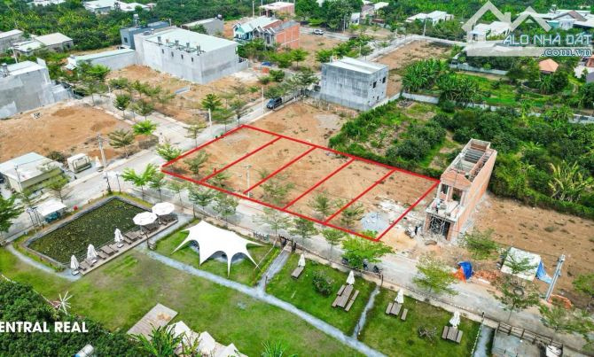 Đất ngay Ngã Tư chợ Tân Bình - Phường Tân Triều Sầm Uất giá 1 tỷ3 ( thương lượng mạnh ) - 2