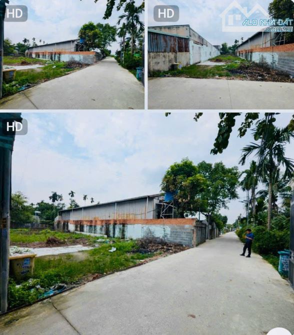 Chủ kẹt tiền cần bán nhanh 2 lô liền kề ở Bình Nhâm-Thuận An-Bình Dương - 2