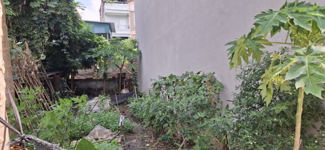 🌻Đất 41m2, Thụy Phương, Bắc Từ Liêm, 10m ô tô tải tránh nhau, mặt tiền rộng - 2