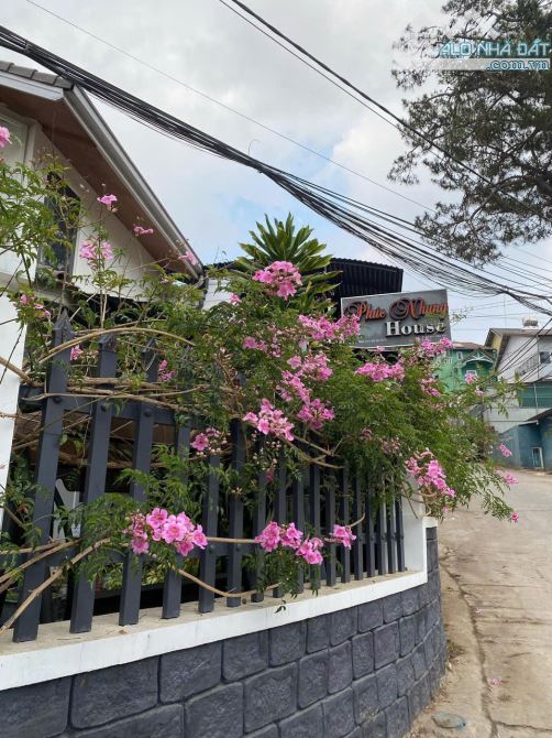 Biệt thự 277m²  trung tâm Đà Lạt – 9PN - 24 TỶ , không gian sống và kinh doanh lý tưởng! - 2