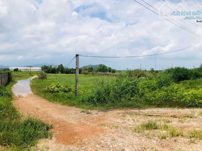 Bán 26m x 83m đất 2 mặt tiền Hùng Vương - LaGi giá rẻ View Biển - 2